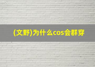 (文野)为什么cos会群穿