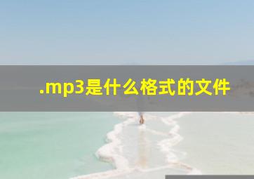 .mp3是什么格式的文件