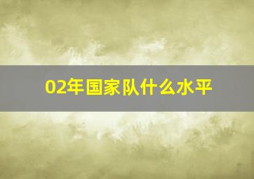 02年国家队什么水平