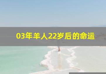 03年羊人22岁后的命运