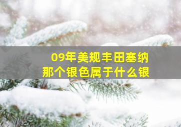 09年美规丰田塞纳那个银色属于什么银