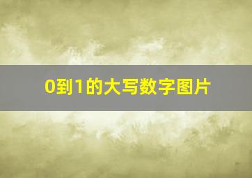 0到1的大写数字图片