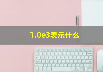 1.0e3表示什么