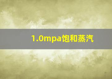 1.0mpa饱和蒸汽