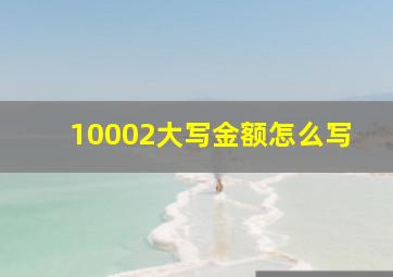 10002大写金额怎么写