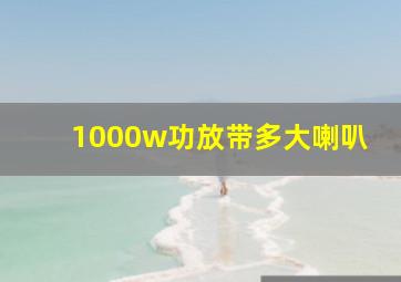 1000w功放带多大喇叭