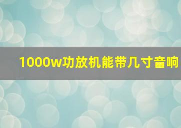 1000w功放机能带几寸音响