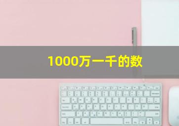 1000万一千的数