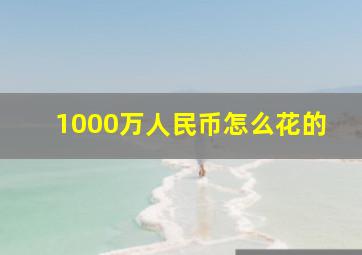 1000万人民币怎么花的