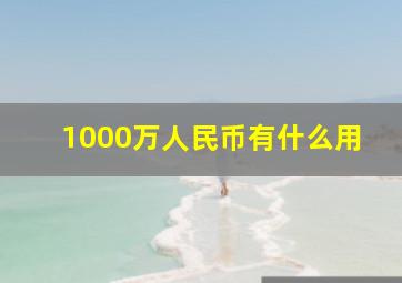 1000万人民币有什么用