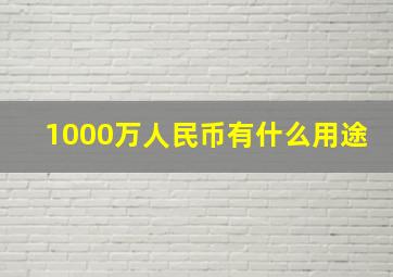 1000万人民币有什么用途