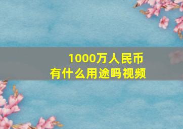 1000万人民币有什么用途吗视频