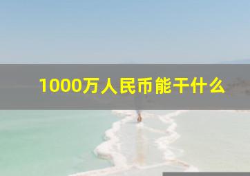 1000万人民币能干什么