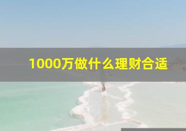 1000万做什么理财合适