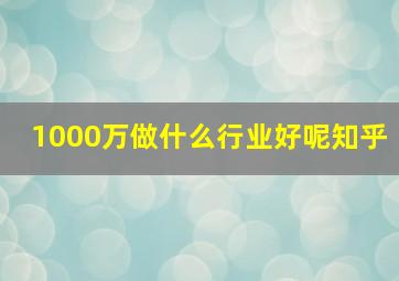 1000万做什么行业好呢知乎