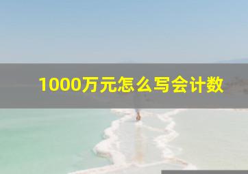 1000万元怎么写会计数