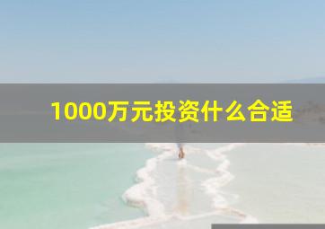 1000万元投资什么合适