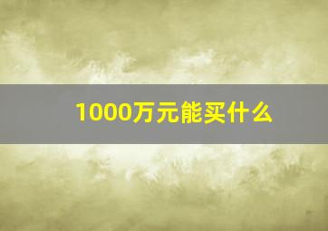 1000万元能买什么