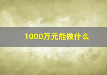 1000万元能做什么