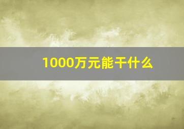 1000万元能干什么