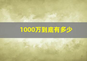 1000万到底有多少