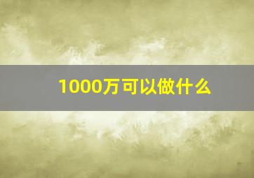 1000万可以做什么