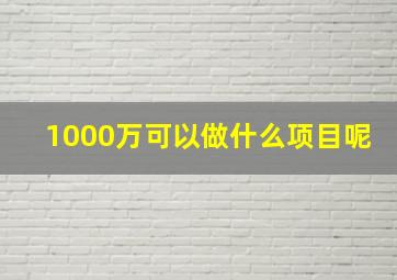 1000万可以做什么项目呢