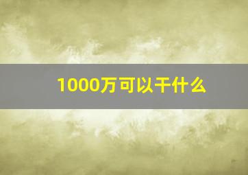 1000万可以干什么