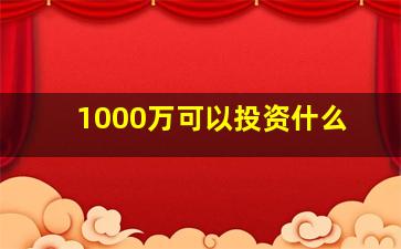 1000万可以投资什么