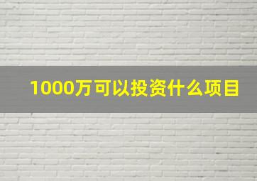 1000万可以投资什么项目