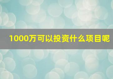 1000万可以投资什么项目呢