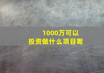 1000万可以投资做什么项目呢