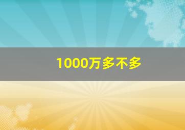 1000万多不多