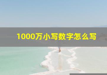 1000万小写数字怎么写