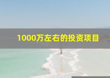 1000万左右的投资项目