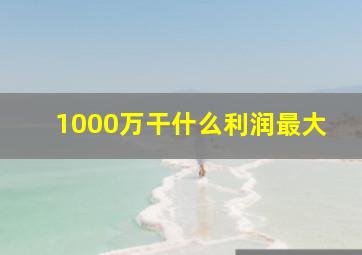 1000万干什么利润最大