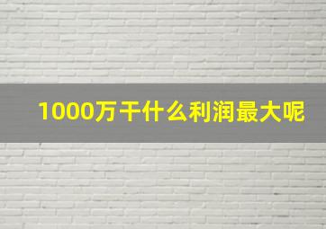 1000万干什么利润最大呢