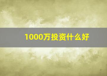 1000万投资什么好