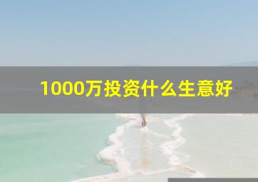 1000万投资什么生意好