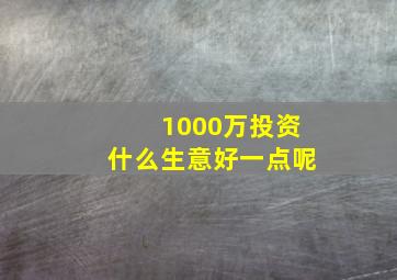 1000万投资什么生意好一点呢