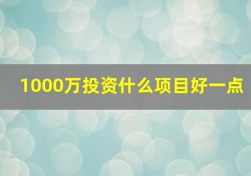 1000万投资什么项目好一点