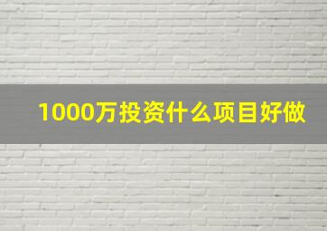 1000万投资什么项目好做