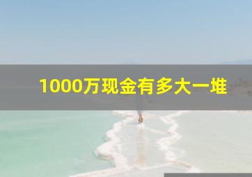 1000万现金有多大一堆