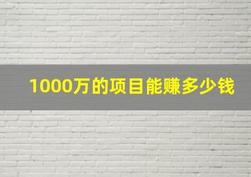 1000万的项目能赚多少钱