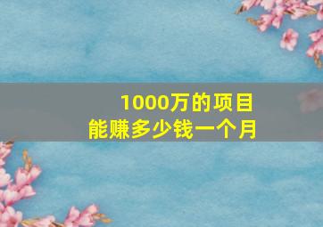 1000万的项目能赚多少钱一个月