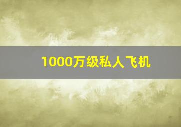 1000万级私人飞机