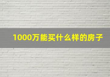 1000万能买什么样的房子