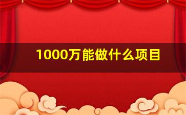 1000万能做什么项目