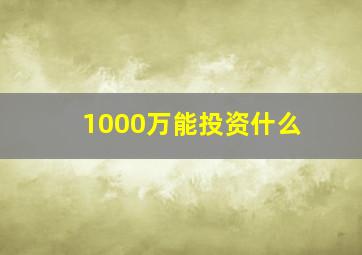 1000万能投资什么