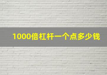 1000倍杠杆一个点多少钱